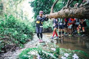 BIB: 
                            <button type="button" onclick="openModal(25466489)" class="btn btn-primary btn-sm float-right btn-popup" data-toggle="modal" data-target=".modal-high-quality">
                        <i class="fas fa-shopping-cart"></i> Add to Cart
                    </button>
                                            <button type="button" onclick="isThisMe(25466489, true)" class="btn btn-success btn-sm float-right btn-popup btn-isme hidden" data-toggle="tooltip" data-placement="bottom" title="นี่คือรูปของคุณใช่ไหม คลิกที่นี่เพื่อเอาเข้าอัลบั้ม">
                        <i class="fas fa-plus"></i> Add to album
                    </button>
                    <button type="button" onclick="isThisMe(25466489, false)" class="btn btn-warning btn-sm float-right btn-popup btn-isnotme hidden">
                        <i class="fas fa-ban"></i> Remove from album
                    </button>